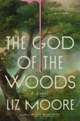 The God of the Woods book cover.